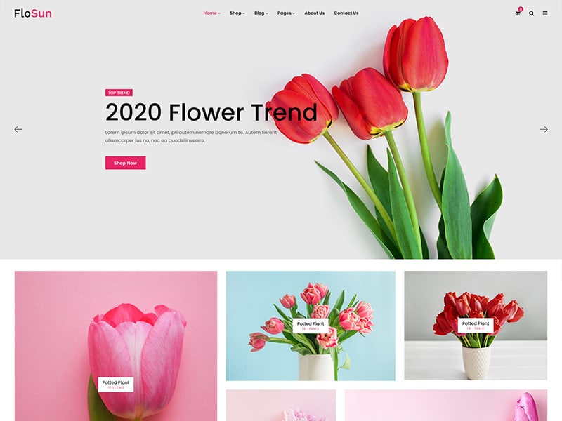 FloSun – Flower Shop HTML5 Template