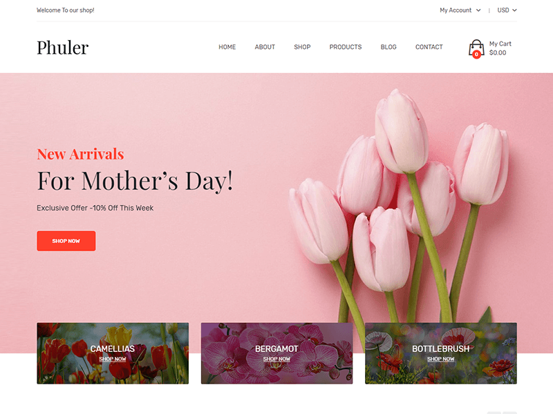 Phuler – Flower HTML Template